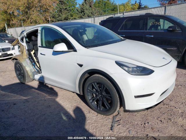  Salvage Tesla Model Y