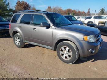  Salvage Ford Escape