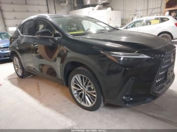  Salvage Lexus NX