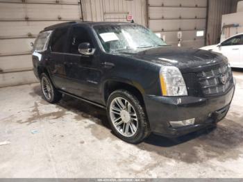  Salvage Cadillac Escalade