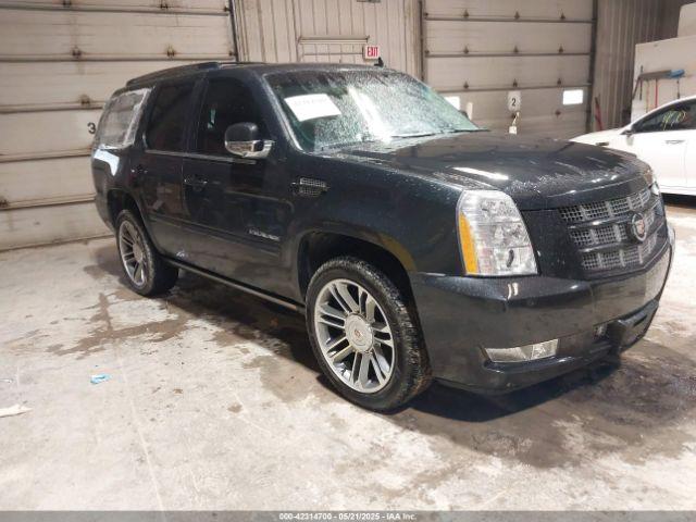  Salvage Cadillac Escalade