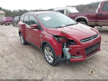  Salvage Ford Escape