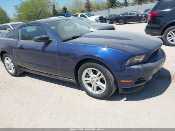  Salvage Ford Mustang