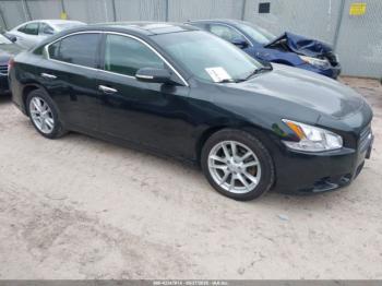  Salvage Nissan Maxima