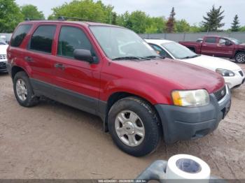  Salvage Ford Escape