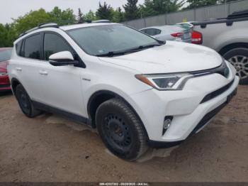  Salvage Toyota RAV4