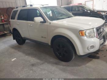  Salvage Ford Escape