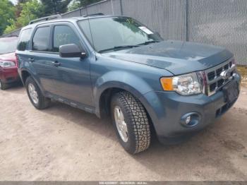  Salvage Ford Escape