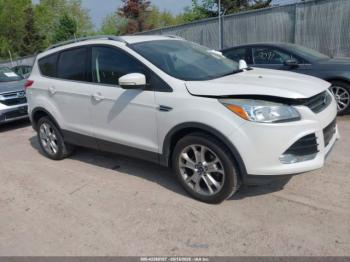  Salvage Ford Escape