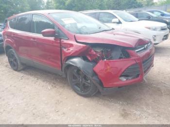 Salvage Ford Escape