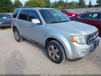  Salvage Ford Escape