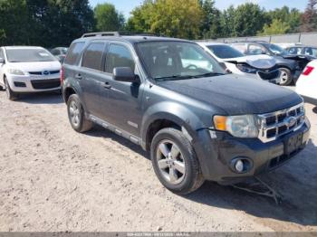  Salvage Ford Escape