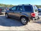 Ford Escape Xlt Image 4