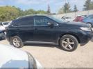Lexus RX Image 12