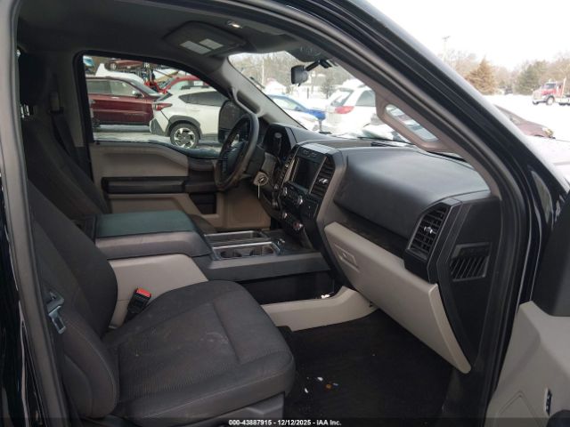 Ford F-150 Xl Image 4